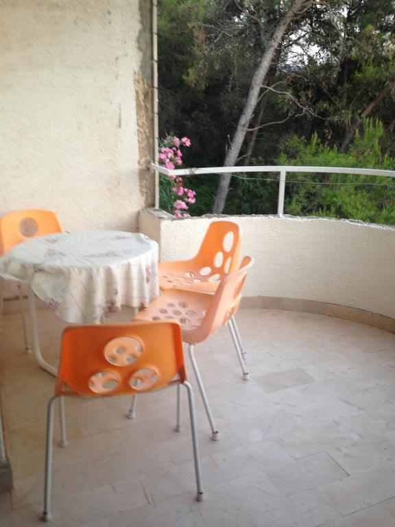 Guest House Alek 브로보스카 객실 사진